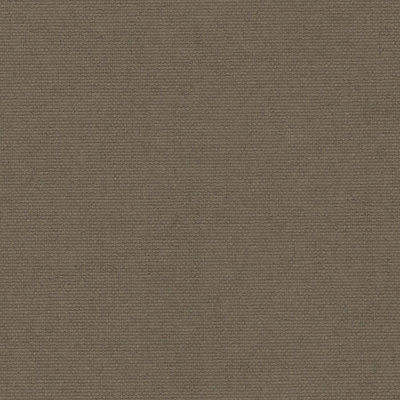 1701642A200 Swatch